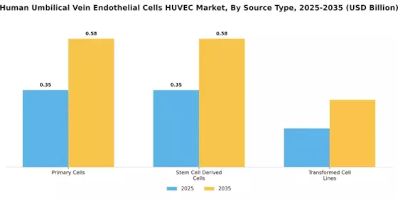 Human Umbilical Vein Endothelial Cells Huvec Market Segment Image 1