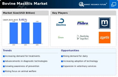 Bovine Mastitis Market Infographic