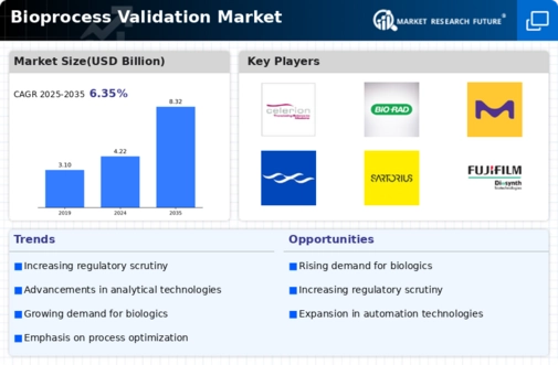 Biprocess Validation Market Infographic