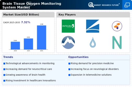 Brain Tissue Oxygen Monitoring System Market Infographic