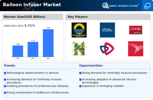 Balloon Infuser Market Infographic