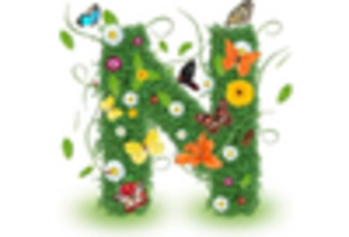 Balloon Infuser Market key player