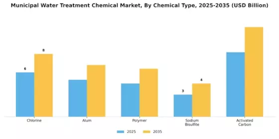 Municipal Water Treatment Chemical Market Segment Image 1