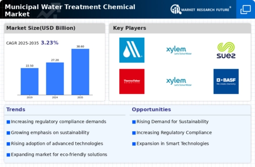 Municipal Water Treatment Chemical Market Infographic