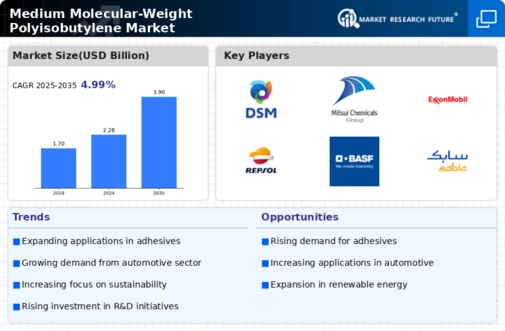 Medium Molecular Weight Polyisobutylene Market Infographic