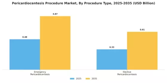 Pericardiocentesis Procedure Market Segment Image 0