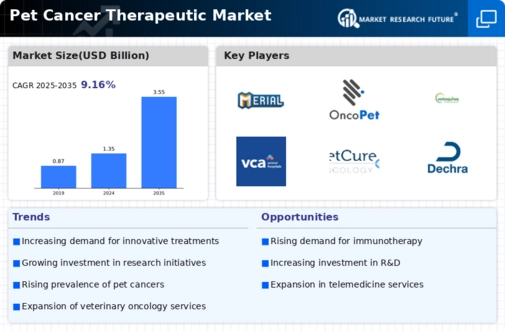 Pet Cancer Therapeutic Market Infographic