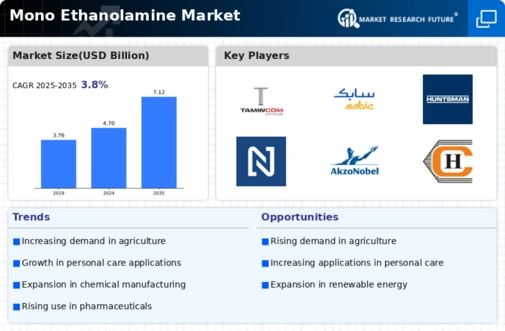 Mono Ethanolamine Market
 Infographic