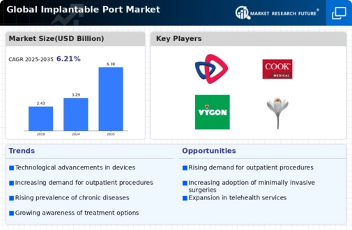 Implantable Port Market Infographic