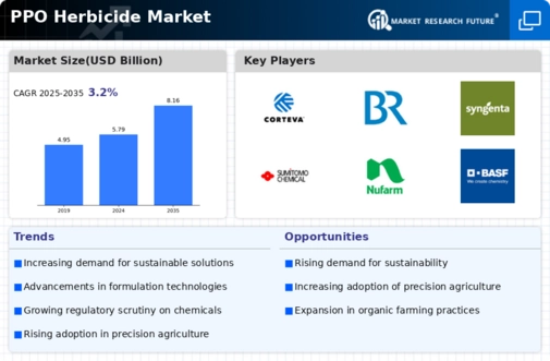 PPO Herbicide Market Infographic