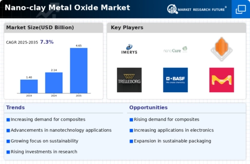 Nano clay Metal Oxide Market Infographic