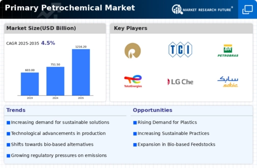 Primary Petrochemical Market Infographic
