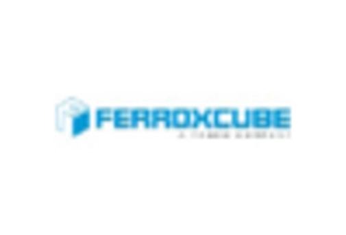 Nanocrystalline Soft Magnetic Material Market key player