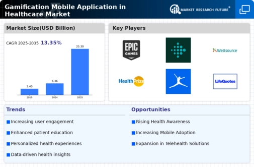 Gamification Mobile Application in Healthcare Market Infographic