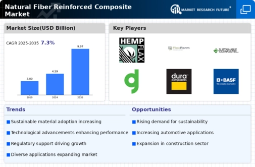 Natural Fiber Reinforced Composite Market
 Infographic