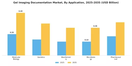 Gel Imaging Documentation Market Segment Image 0
