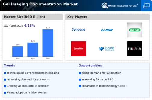 Gel Imaging Documentation Market Infographic