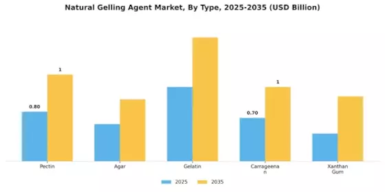 Natural Gelling Agent Market
 Segment Image 2