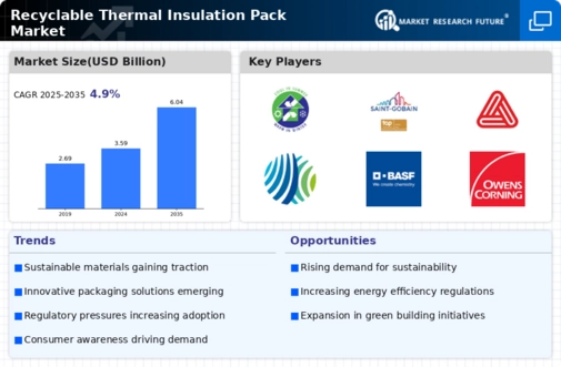 Recyclable Thermal Insulation Pack Market  Infographic