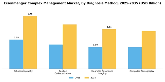 Eisenmenger Complex Management Market
 Segment Image 0