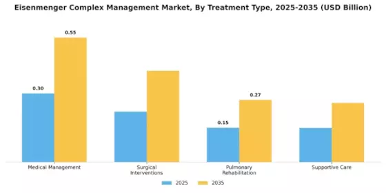 Eisenmenger Complex Management Market
 Segment Image 0