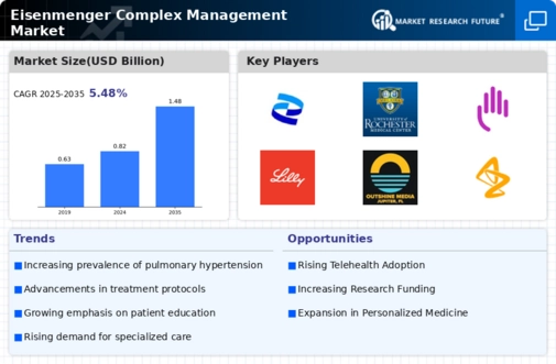 Eisenmenger Complex Management Market
 Infographic