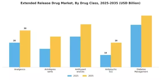 Extended Release Drug Market Segment Image 0