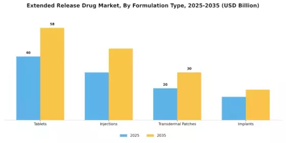 Extended Release Drug Market Segment Image 1
