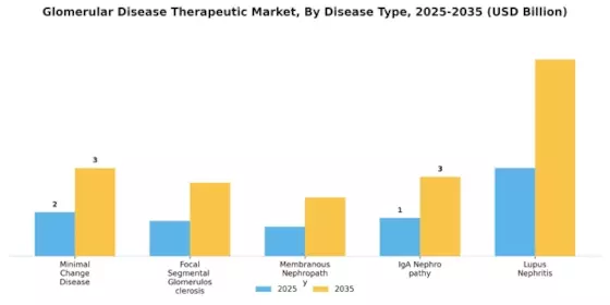 Glomerular Disease Therapeutic Market Segment Image 1