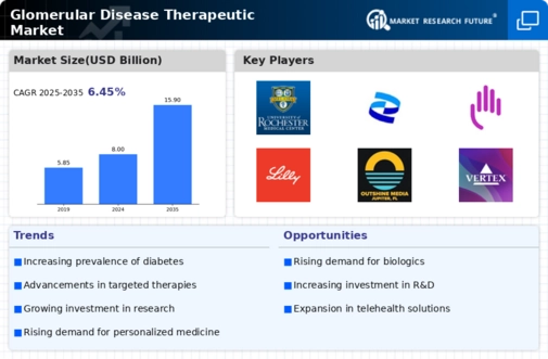 Glomerular Disease Therapeutic Market Infographic