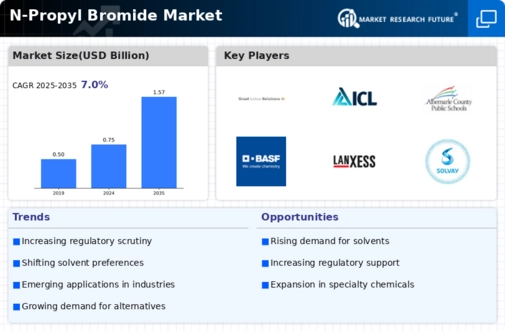 N Propyl Bromide Market Infographic