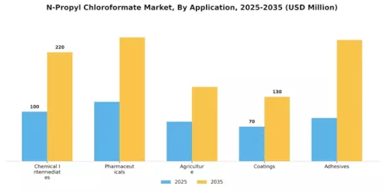 N Propyl Chloroformate Market Segment Image 0