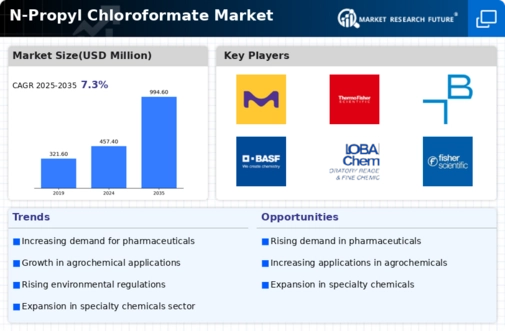 N Propyl Chloroformate Market Infographic