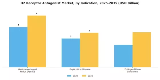 H2 Receptor Antagonist Market Segment Image 2