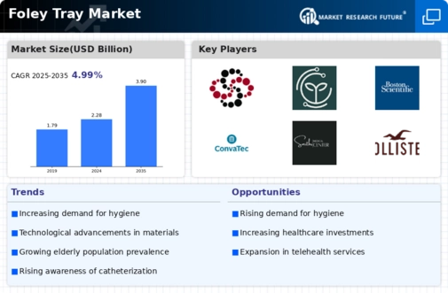 Foley Tray Market Infographic