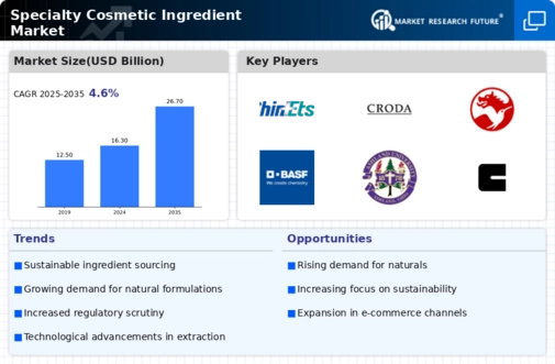 Specialty Cosmetic Ingredient Market Infographic