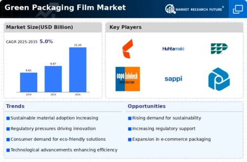 Green Packaging Film Market Infographic