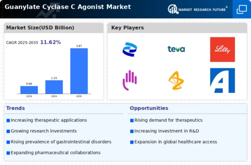 Guanylate Cyclase C Agonist Market Infographic