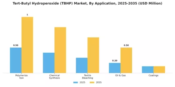 Tert Butyl Hydroperoxide Market Segment Image 0