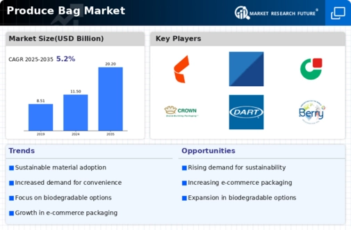 Produce Bag Market Infographic