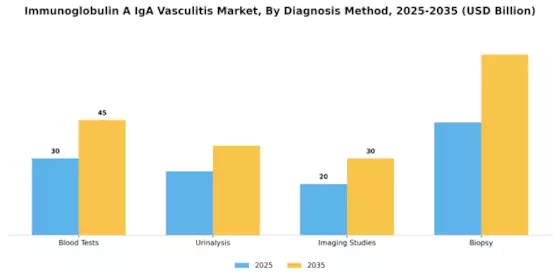 Immunoglobulin A IgA Vasculitis Market Segment Image 0