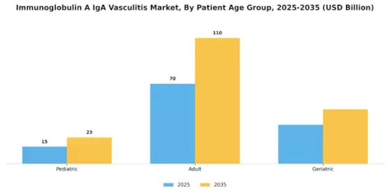 Immunoglobulin A IgA Vasculitis Market Segment Image 1