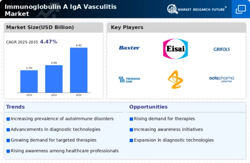 Immunoglobulin A IgA Vasculitis Market Infographic