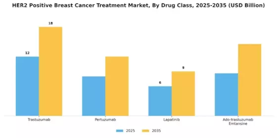 Her2 Positive Breast Cancer Treatment Market Segment Image 1