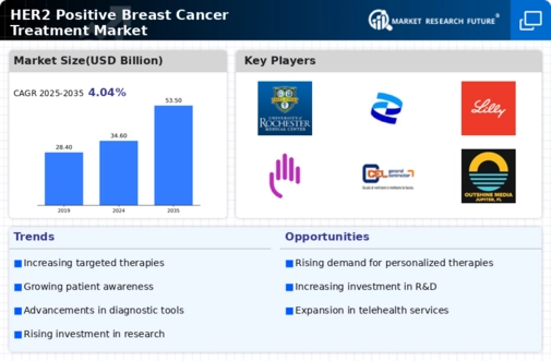 Her2 Positive Breast Cancer Treatment Market Infographic