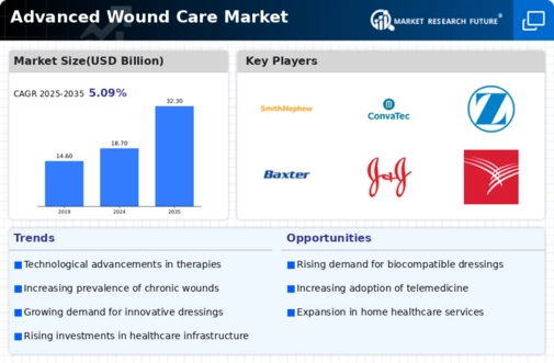 Advanced Wound Care Market Infographic