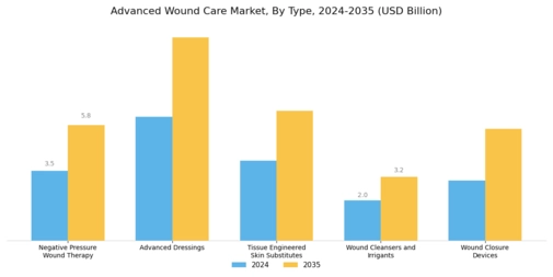Advanced Wound Care Market Segment Image 0