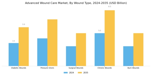 Advanced Wound Care Market Segment Image 1