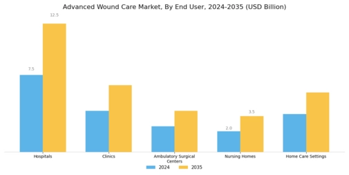Advanced Wound Care Market Segment Image 2