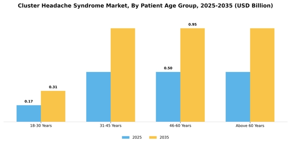 Cluster Headache Syndrome Market Segment Image 1